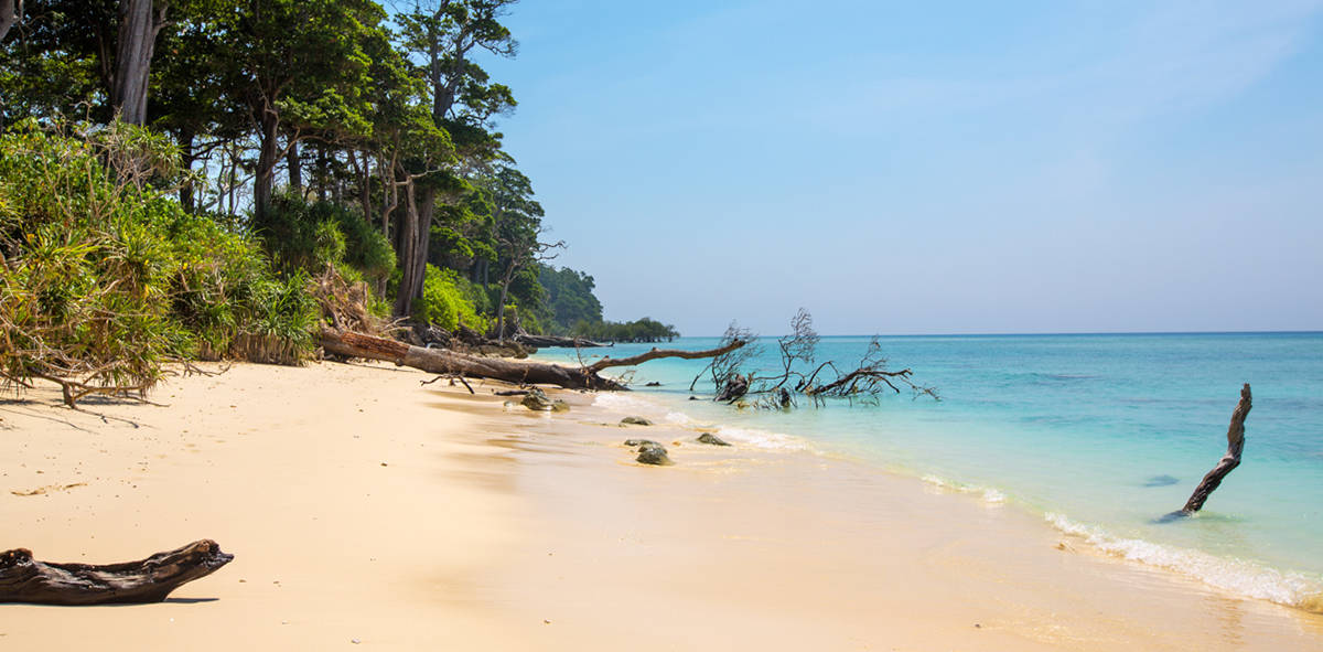 Lakshmanpur Beach (Neil Island) - Go2Andaman 2025 Tourist Guide