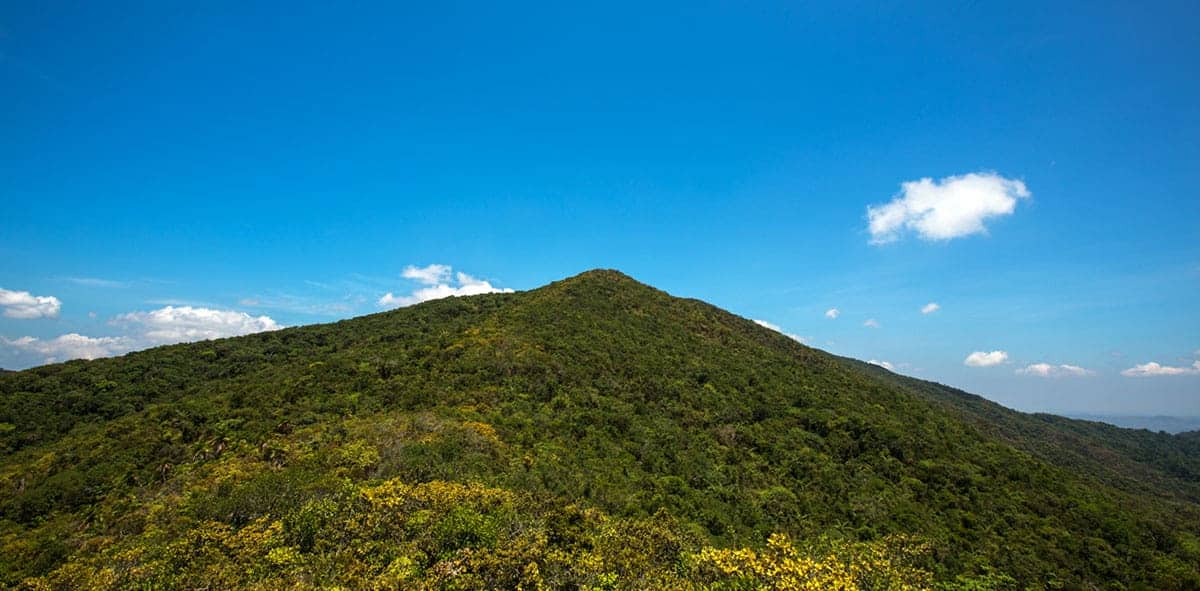 Saddle Peak National Park at Diglipur