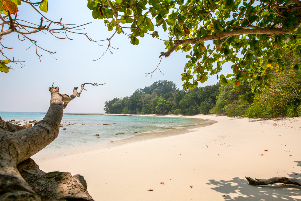 Your Ultimate Guide to the Best Beaches in Havelock Island (2023 Edition)