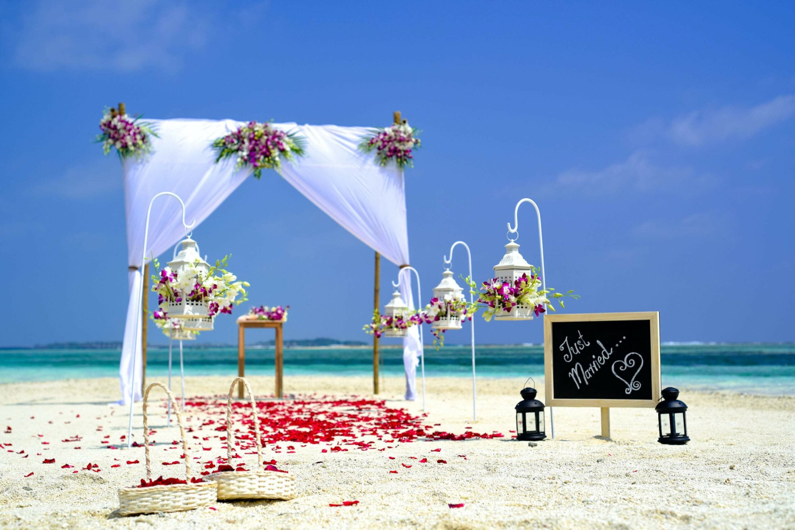 wedding things to do in havelock