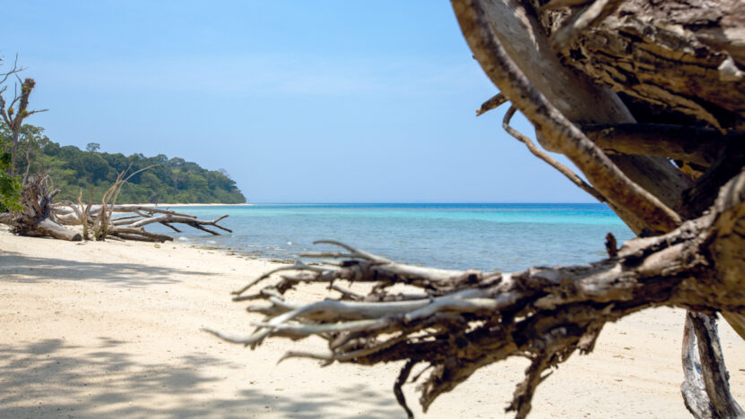 Best Beaches in Havelock Island [2025 Edition] - Go2Andaman