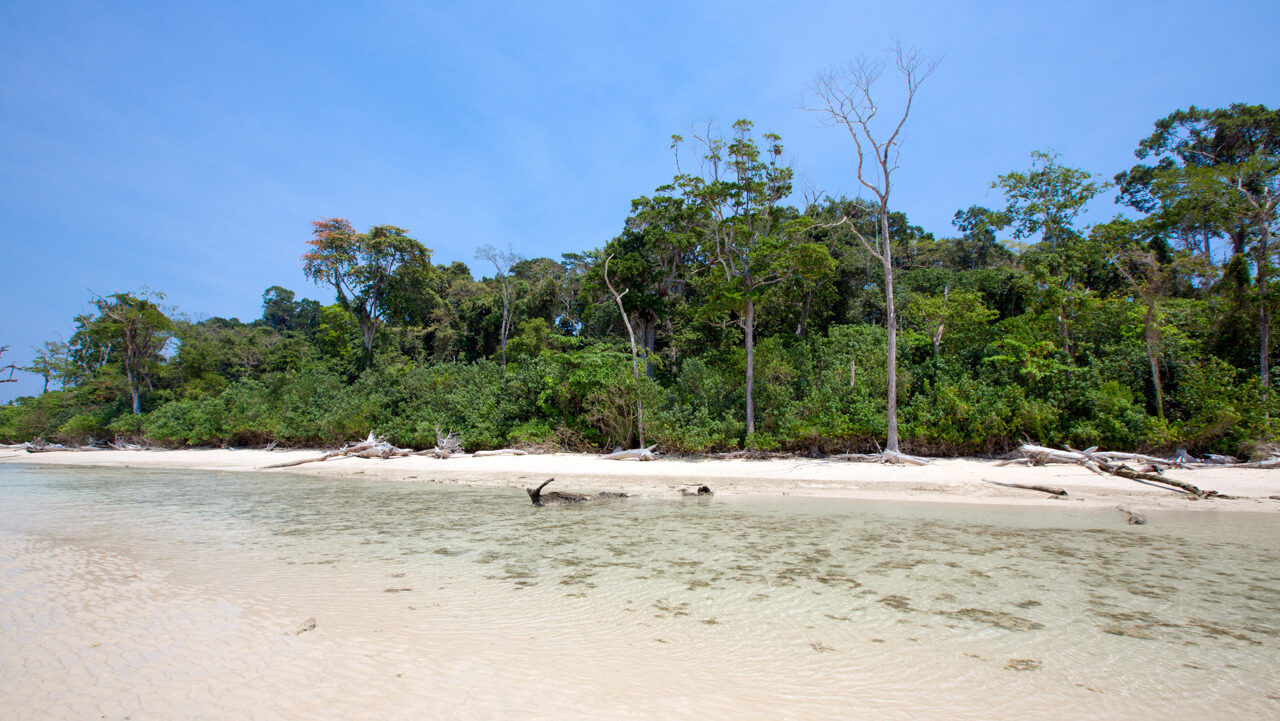 Aves Island Beach