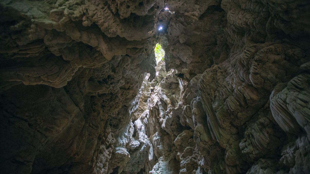 Limestone Caves at Baratang Island