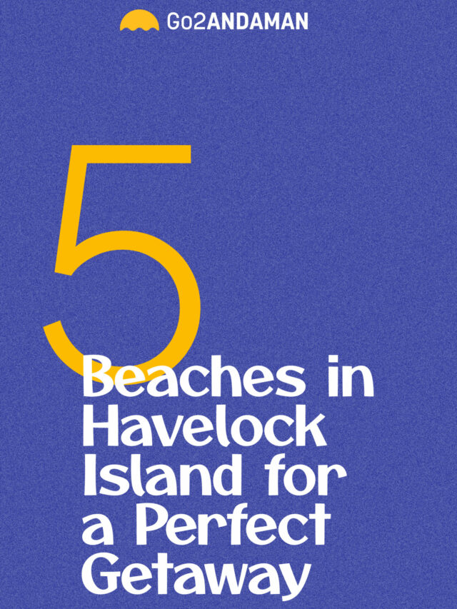 Best Beaches in Havelock